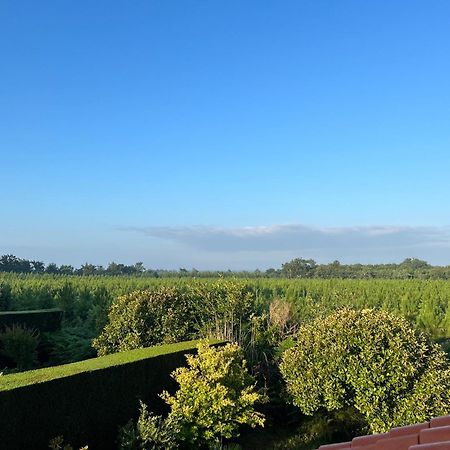 Jolie Maison De Vacances Avec Terrasse Et Jardin Saint-Julien-en-Born Eksteriør bilde