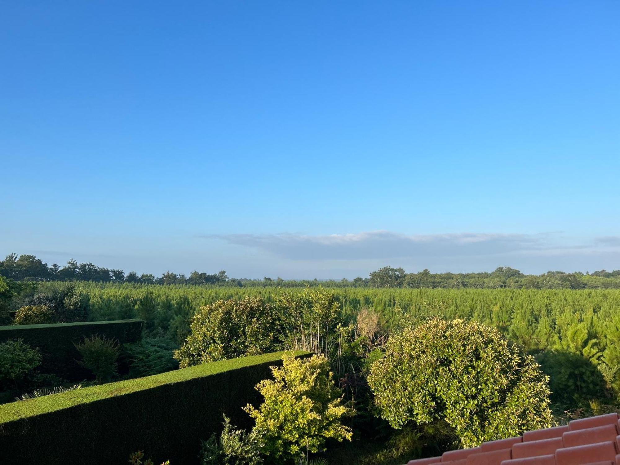 Jolie Maison De Vacances Avec Terrasse Et Jardin Saint-Julien-en-Born Eksteriør bilde