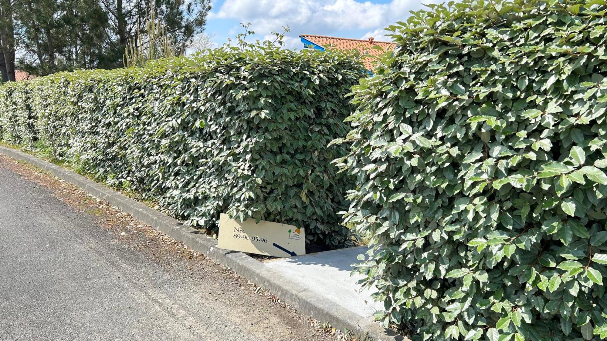 Jolie Maison De Vacances Avec Terrasse Et Jardin Saint-Julien-en-Born Eksteriør bilde