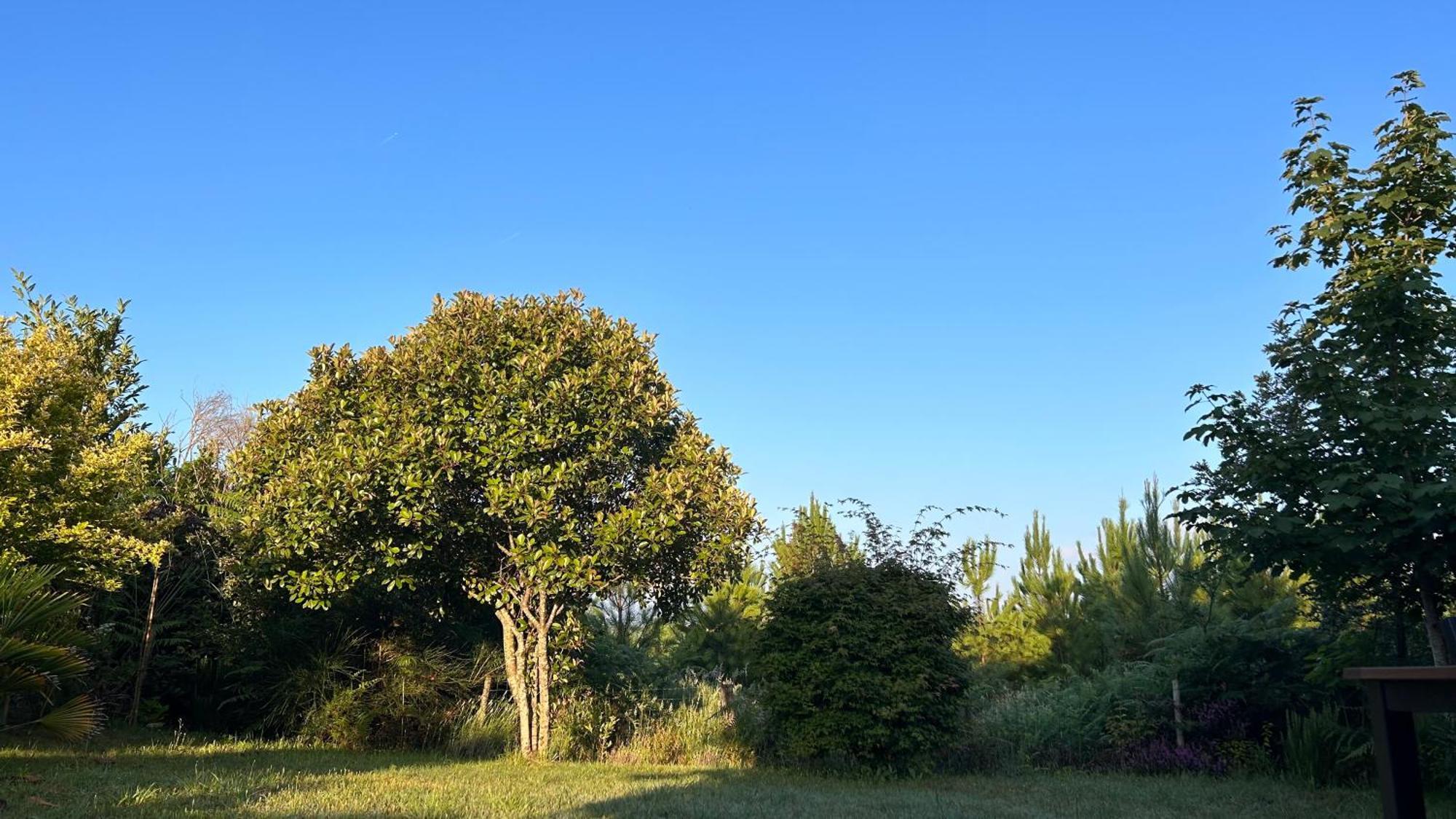 Jolie Maison De Vacances Avec Terrasse Et Jardin Saint-Julien-en-Born Eksteriør bilde